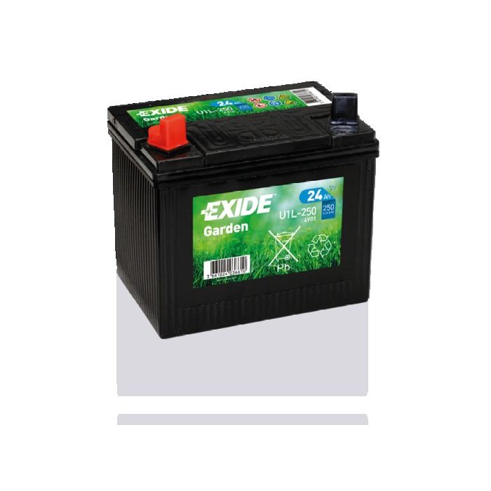 Batterie de démarrage Exide Garden 4901 12 V 24 Ah 250 A – Plomb-acide (sans entretien)