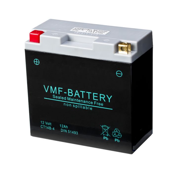 Batterie moto VMF Powersport FA 51493 12 V 12 Ah 210 A – AGM