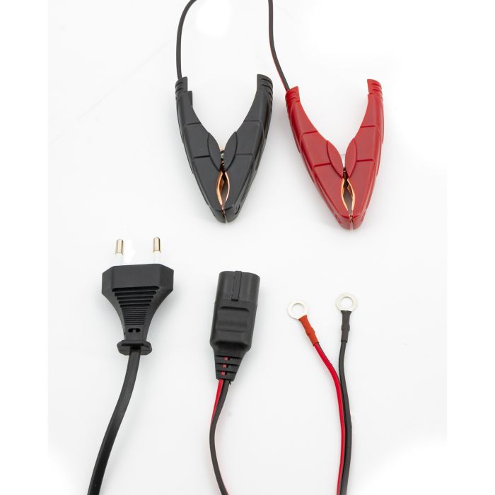 Chargeur de batterie GYS Artic 800 12 V 