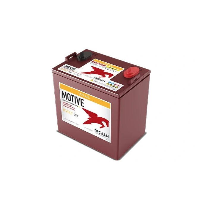 Batterie à décharge lente AGM Trojan Motive AES T875-AES 8 V 158 Ah – AGM
