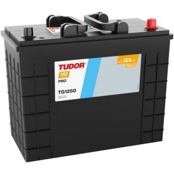 Batterie de démarrage Tudor HD Pro TG1250 12 V 125 Ah 760 A – Plomb-acide (électrolyte liquide)
