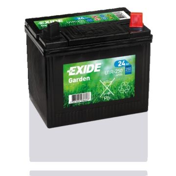 Batterie de démarrage Exide Garden 4900 12 V 24 Ah 250 A – Plomb-acide (sans entretien)