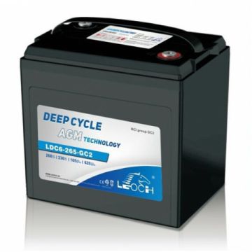 Batterie à décharge lente AGM Carbon Leoch LDC6-265-GC2 6 V 265 Ah – Semi-traction AGM